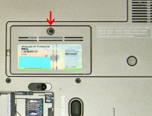 Unscrew the retaining screw and remove the door from the laptop. 