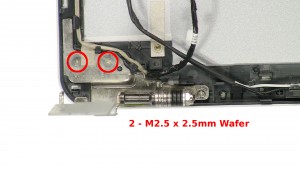 Remove the 2 - M2 x 4mm screws.