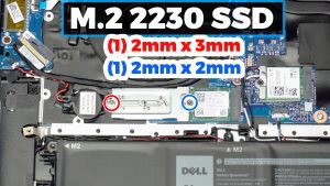 Unscrew and remove the SSD assembly.